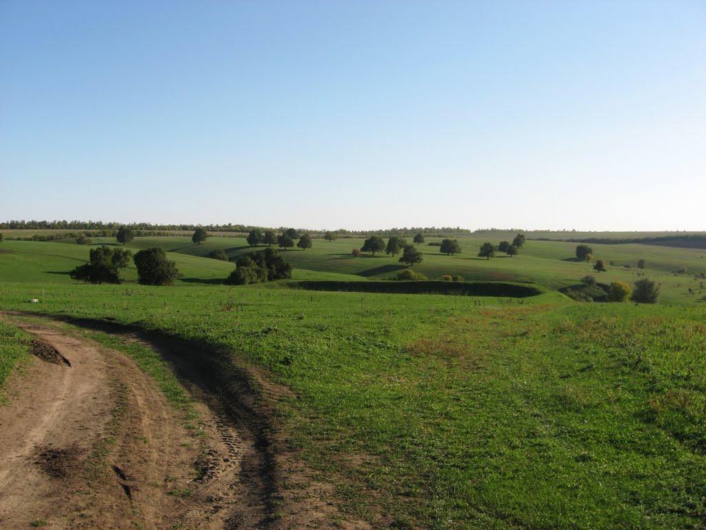 Домниця з panoramio.com - Домница