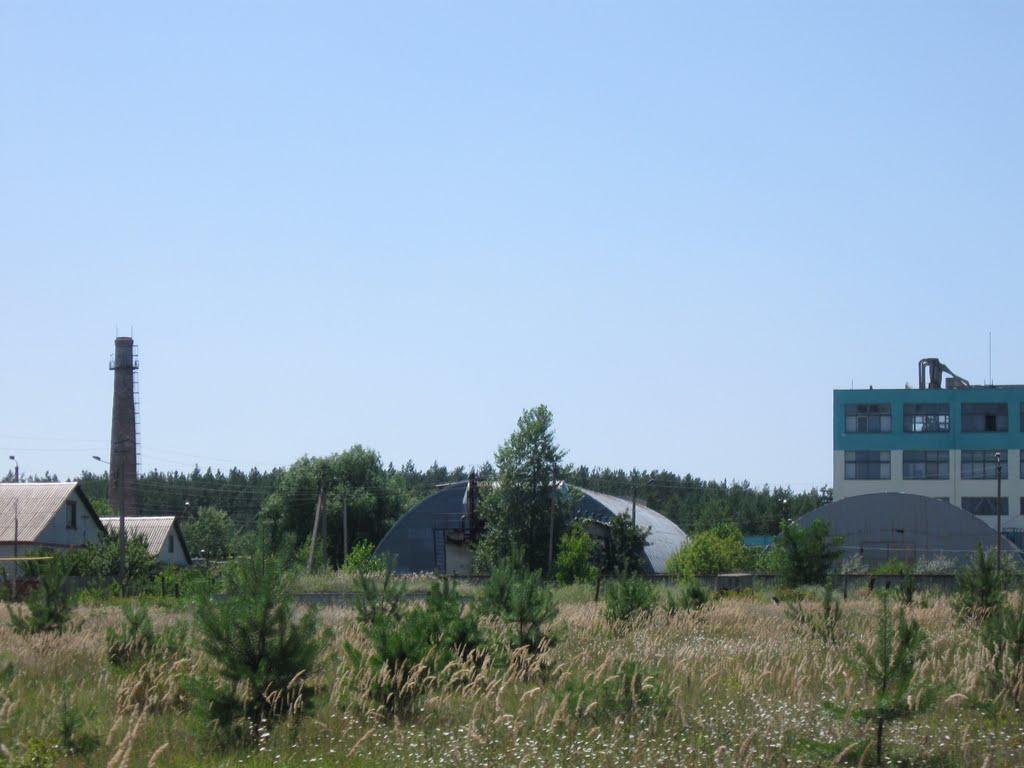 Кремінна з panoramio.com - Кременная