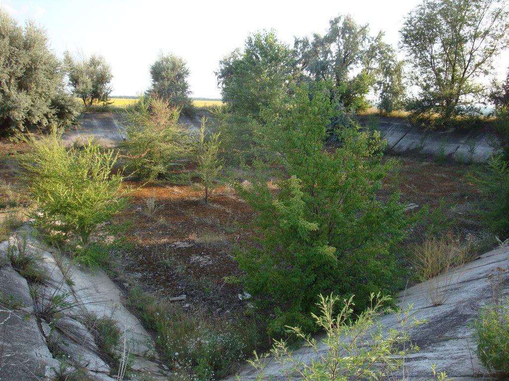 Ракшівка з panoramio.com - Ракшивка