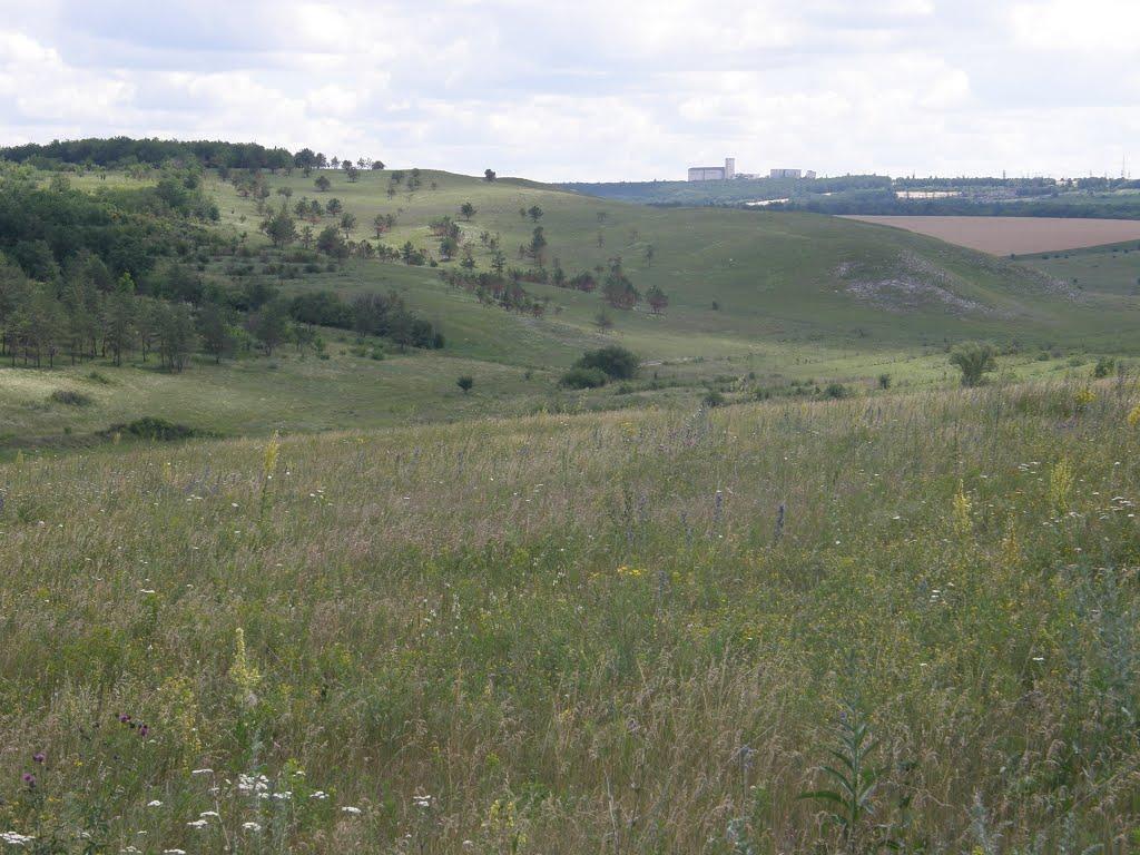 Білогорівка з panoramio.com - Белогоровка