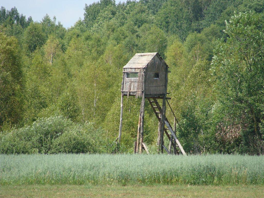 Тиховиж з panoramio.com - Тиховиж