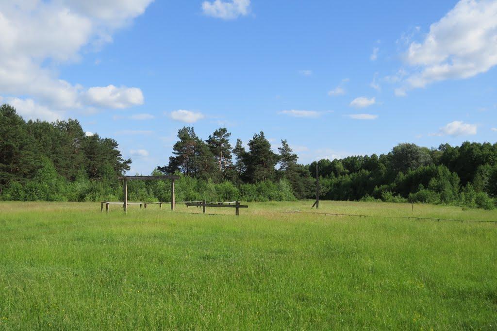 Софіївка з panoramio.com - Софиевка