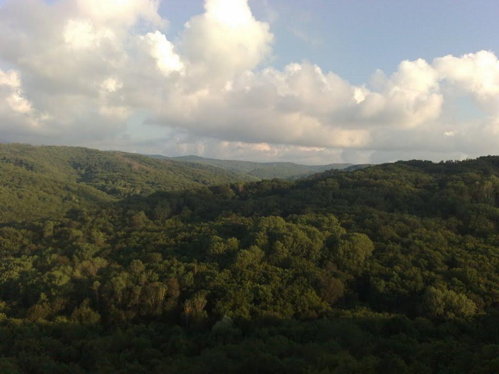 Краснолісся з panoramio.com - Краснолесье