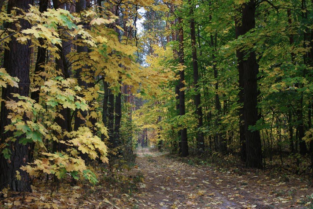 Бурімка з panoramio.com - Бурімка