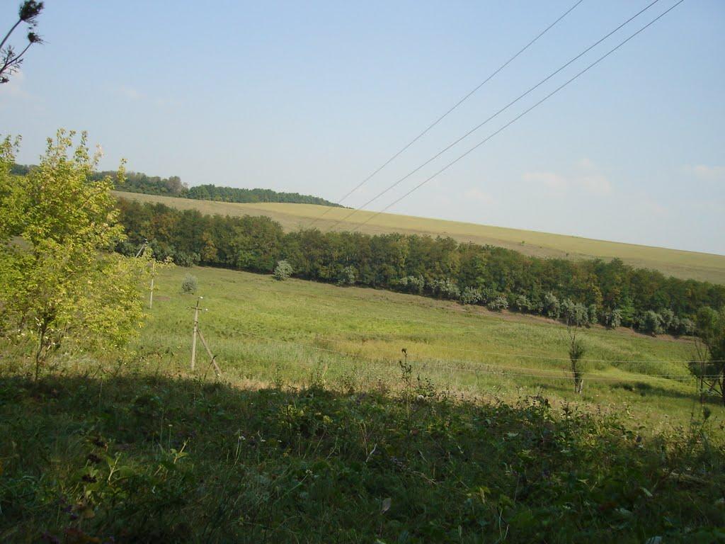 Золотий Колодязь з panoramio.com - Золотой Колодезь