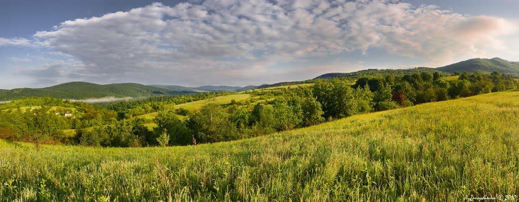 Верхня Визниця з panoramio.com - Verkhnya Vyznytsya