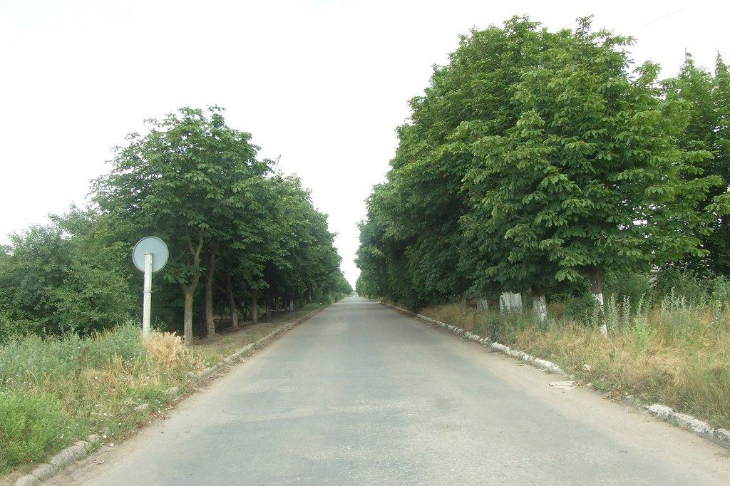 Іллічівка з panoramio.com - Іллічівка
