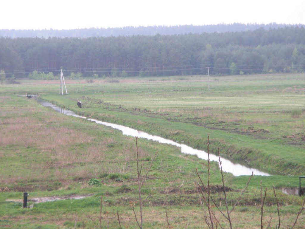 Яблунівка з panoramio.com - Jablunivka