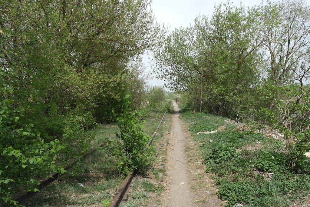 Корделівка з panoramio.com - Корделівка