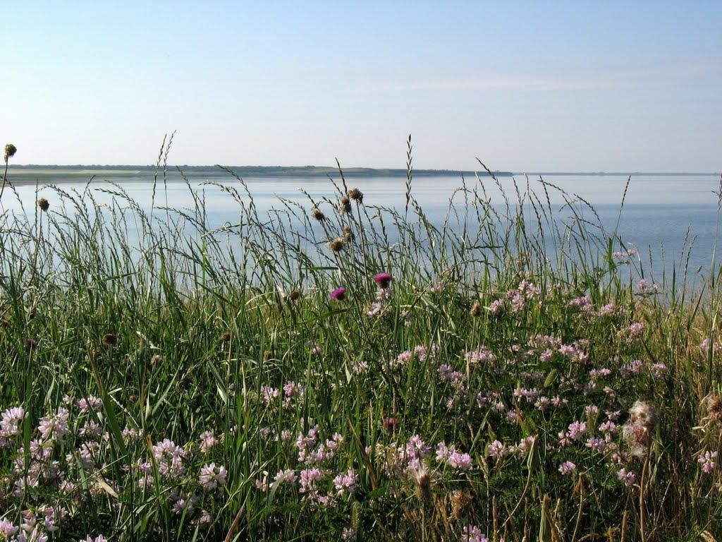 Червоний Чабан з panoramio.com - Червоний Чабан