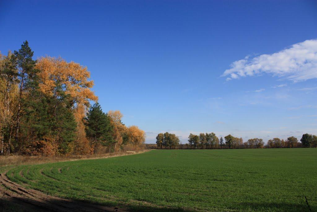 Бурімка з panoramio.com - Бурімка