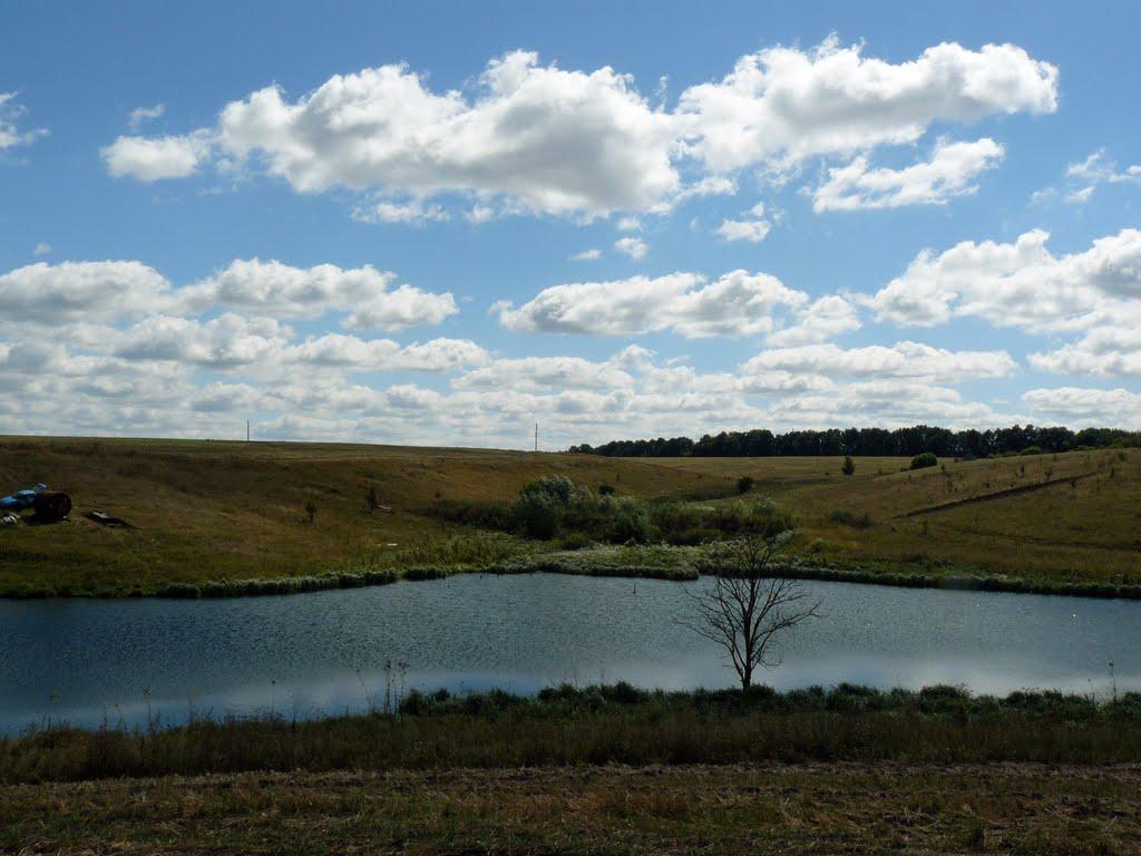Сніжки з panoramio.com - Сніжки