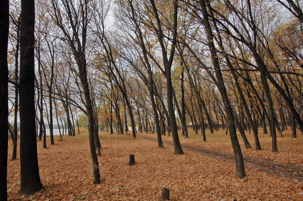 Кремінець з panoramio.com - Кременец