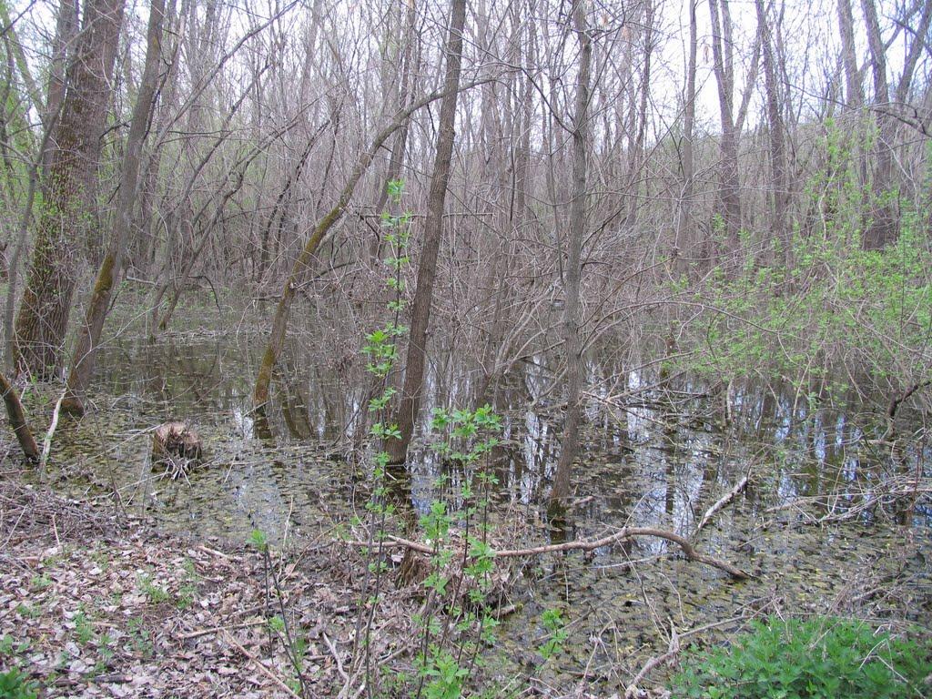 Завітне з panoramio.com - Завітне