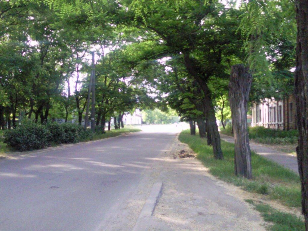 Очаків з panoramio.com - Очаков