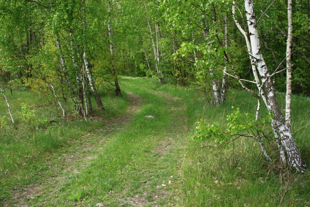 Бурімка з panoramio.com - Бурімка