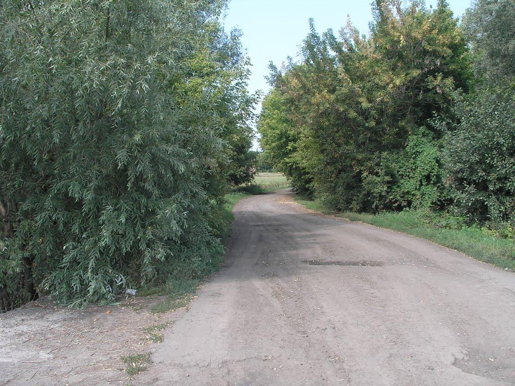 Кокозівка з panoramio.com - Кокозовка