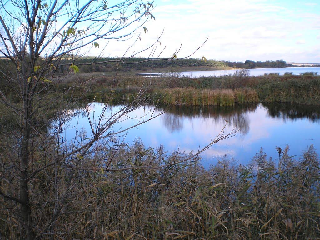 Золотий Колодязь з panoramio.com - Золотой Колодезь