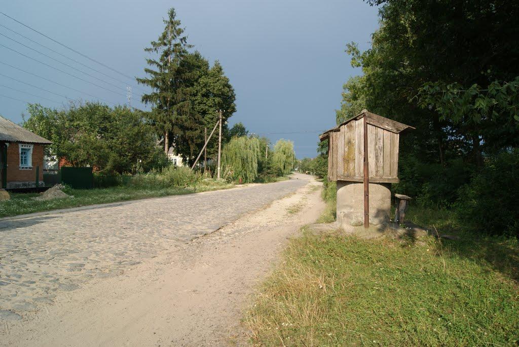 Требухівці з panoramio.com - Требуховцы