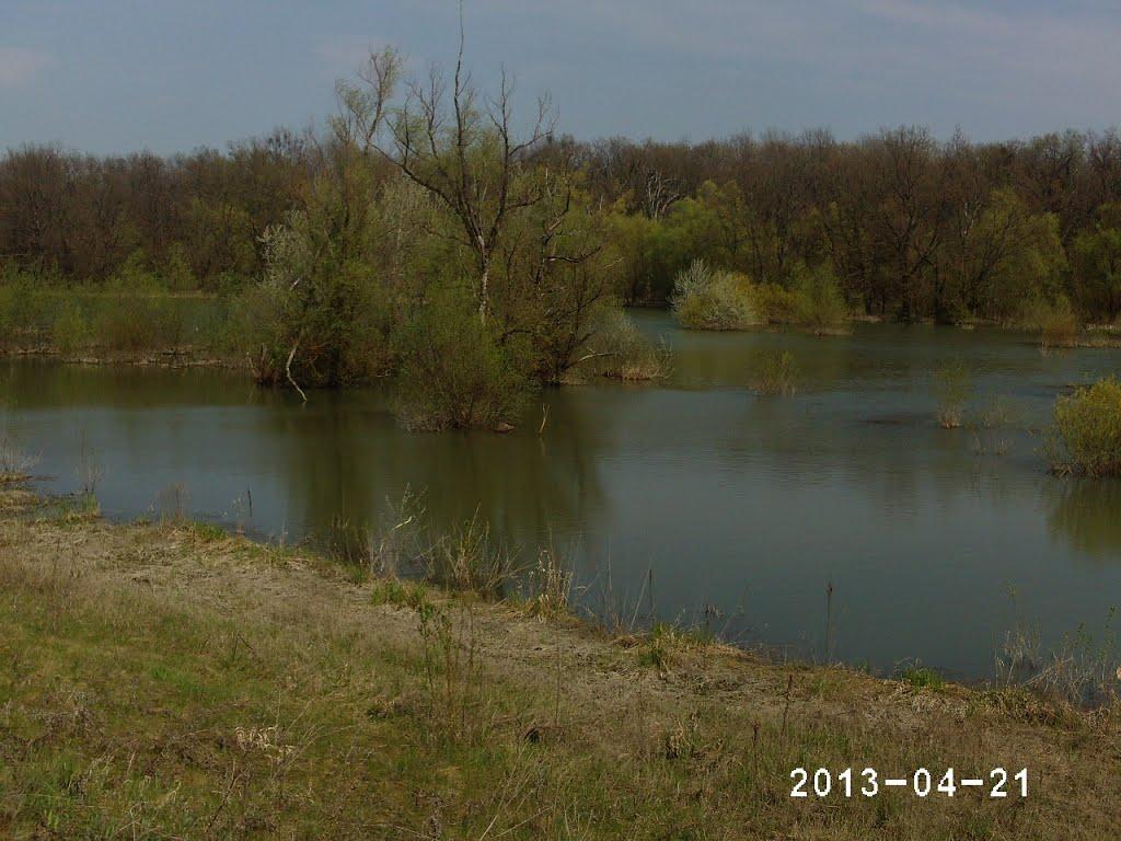 Малі Геївці з panoramio.com - Малі Геївці