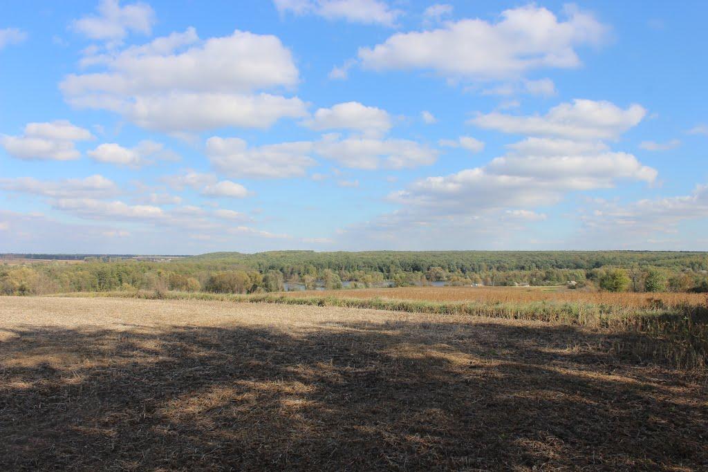 Северинівка з panoramio.com - Северинівка