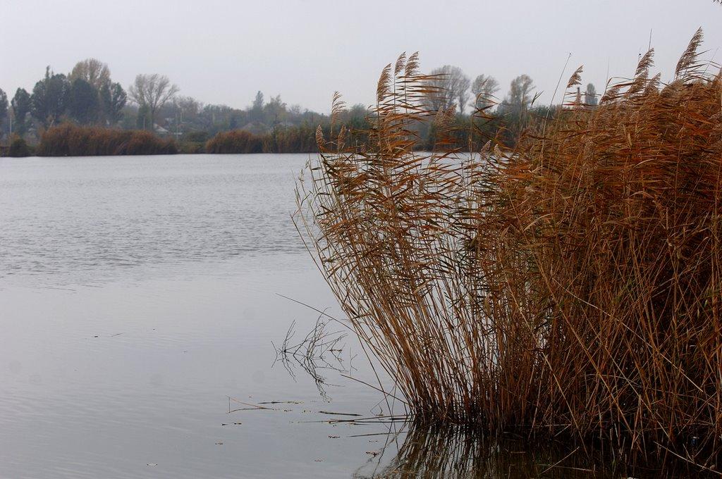 Кремінець з panoramio.com - Kreminets