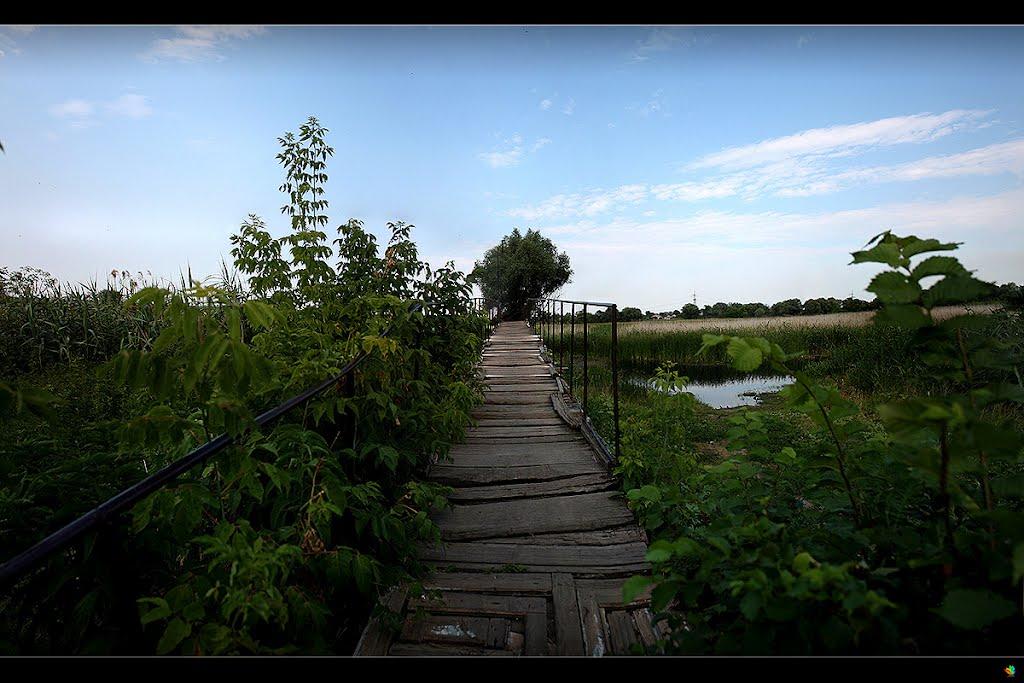 Зідьки з panoramio.com - Зидьки