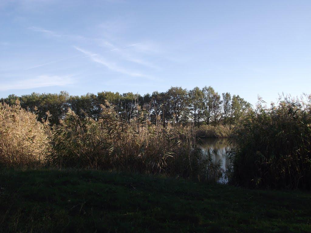 Кремінець з panoramio.com - Kreminets