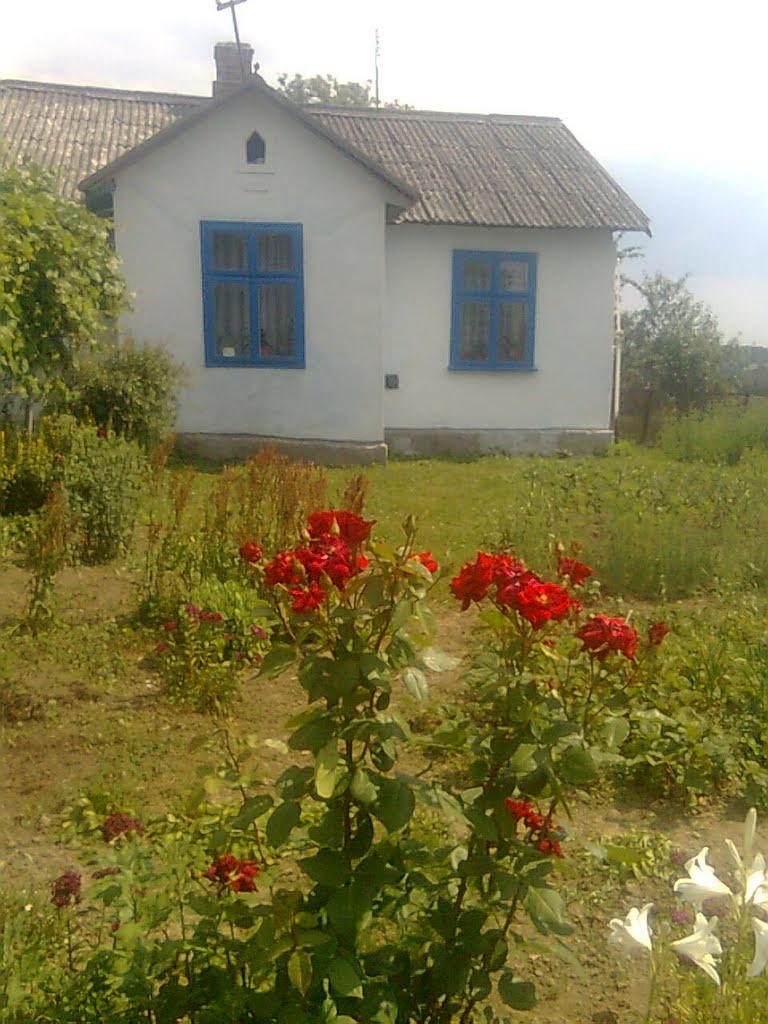 Чортків з panoramio.com - Чортков