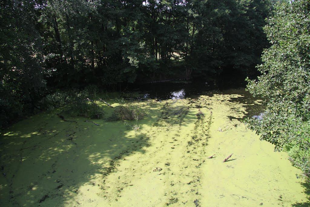 Підозірка з panoramio.com - Підозірка