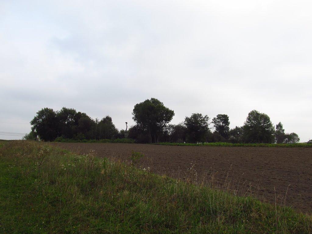 Панасівка з panoramio.com - Панасівка