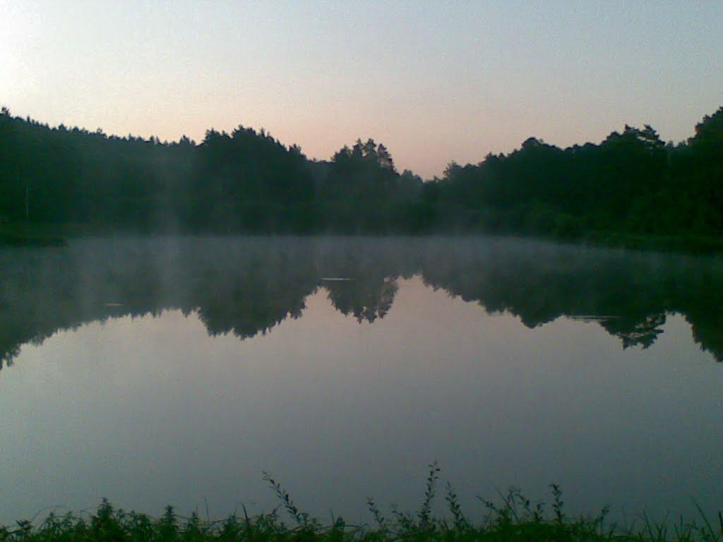 Верещиця з panoramio.com - Верещиця