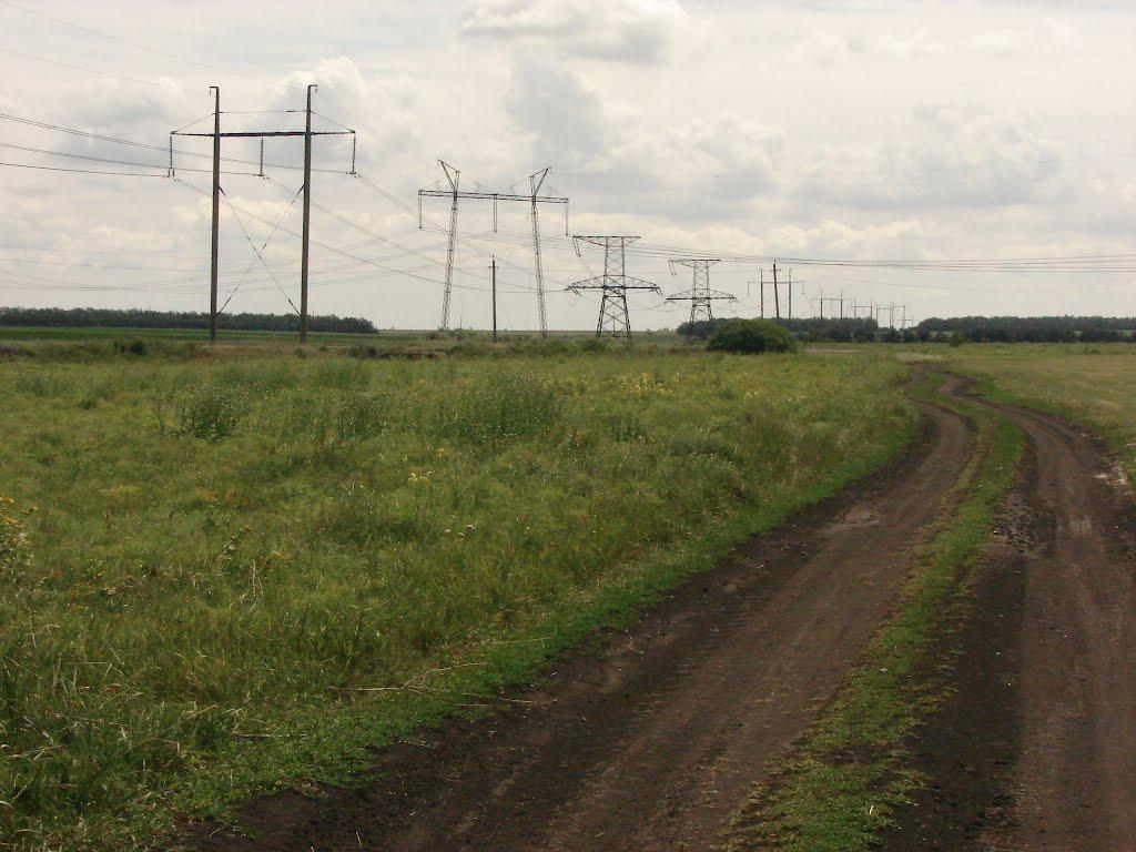 Рози Люксенбург з panoramio.com - Новое Шахово