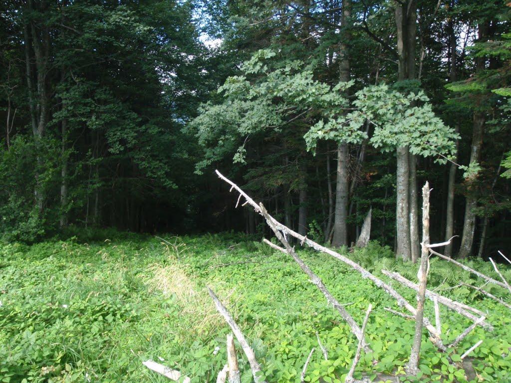 Стужиця з panoramio.com (ч.2) - Стужица