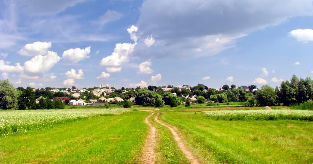 Вільшани з panoramio.com - Вільшани