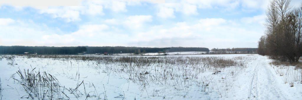 Нова Березівка з panoramio.com - Нова Березівка