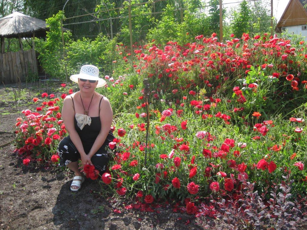 Гола Пристань з panoramio.com - Голая Пристань