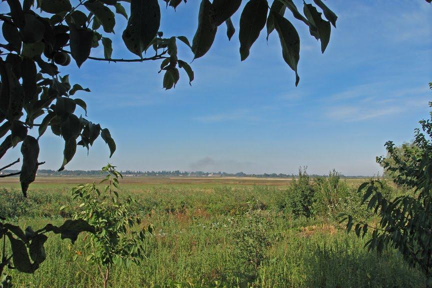 Селещина з panoramio.com - Селещина