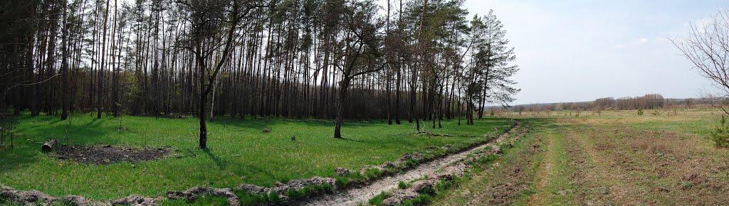 Мохнач з panoramio.com - Мохнач