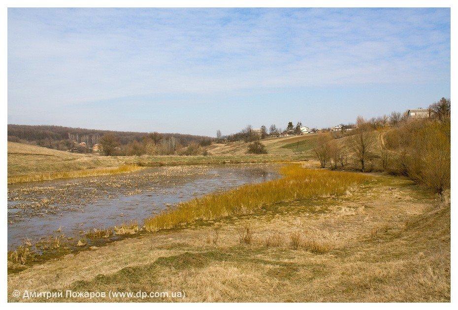 Польова з panoramio.com - Полевая