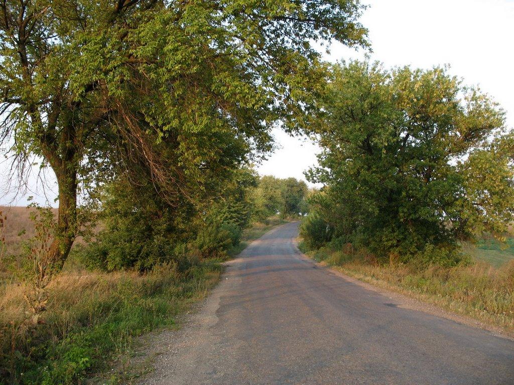 Городенка з panoramio.com - Городенка