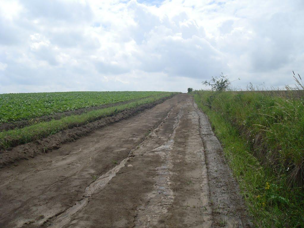 Грузевиця з panoramio.com - Грузевиця