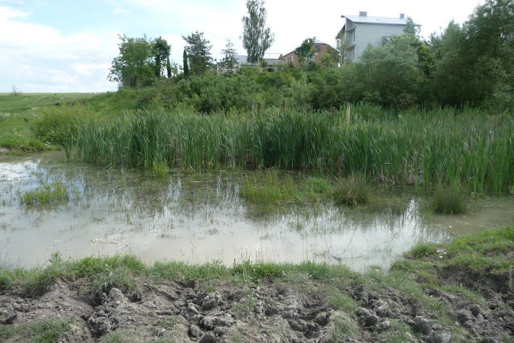 Буськ з panoramio.com - Busk