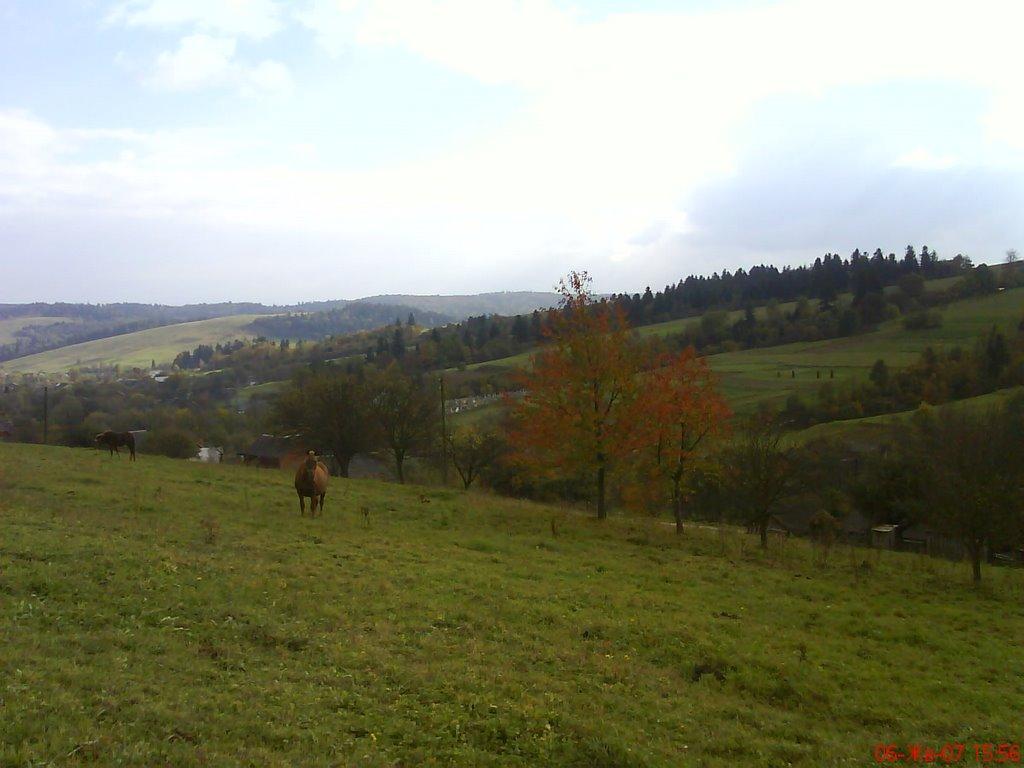 Катина з panoramio.com - Katyna