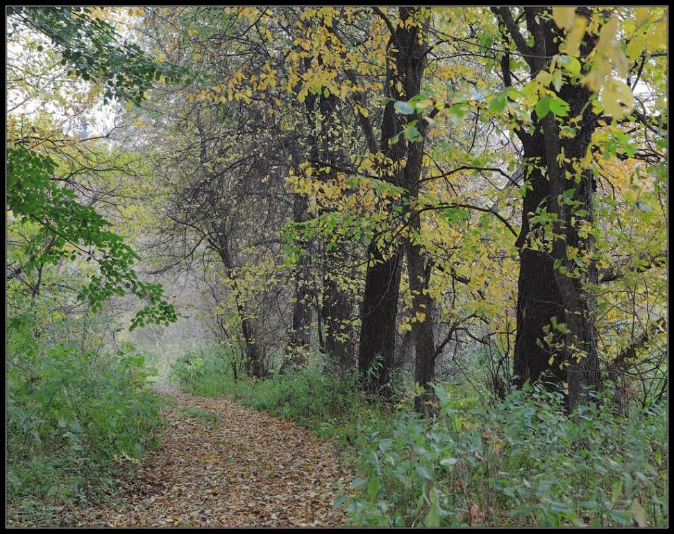 Сорокове з panoramio.com - Сороково
