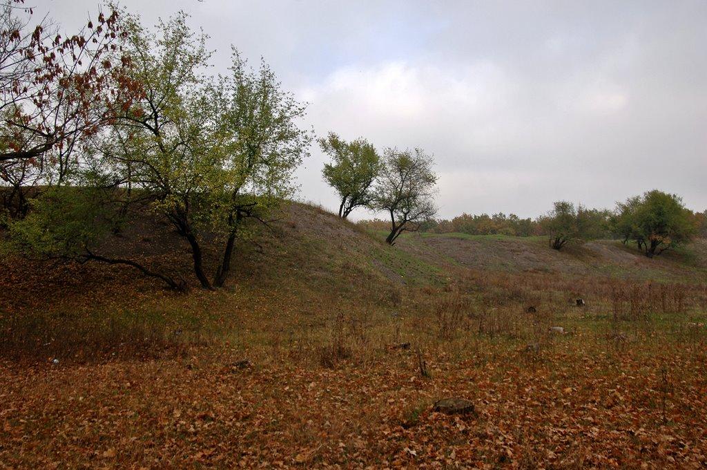 Кремінець з panoramio.com - Кременец