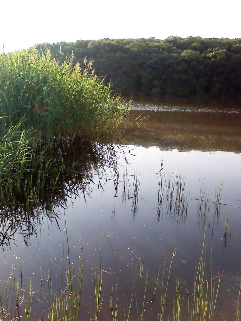 Всесвятське з panoramio.com - Всесвятське