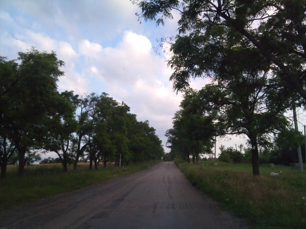 Родники з panoramio.com - Родники