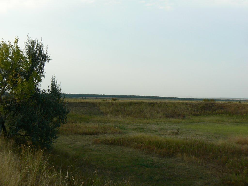 Куйбишеве з panoramio.com - Kuybisheva