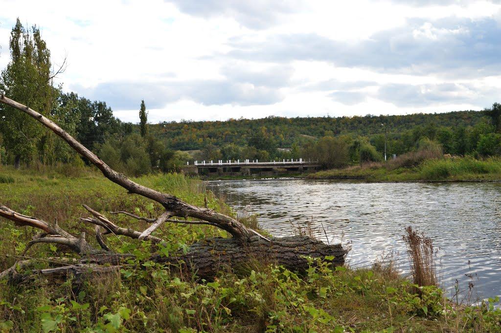 Миколаївка з panoramio.com - Миколаївка